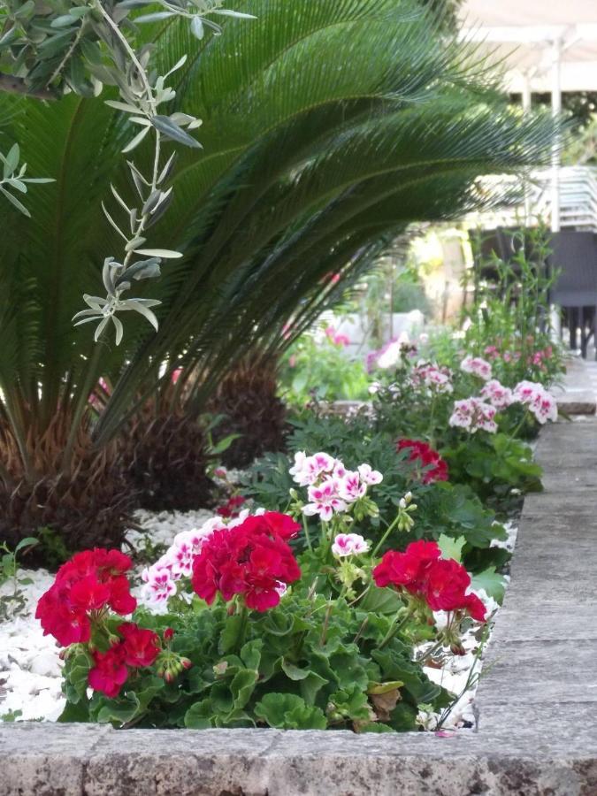 לימנאס Hotel Timoleon מראה חיצוני תמונה